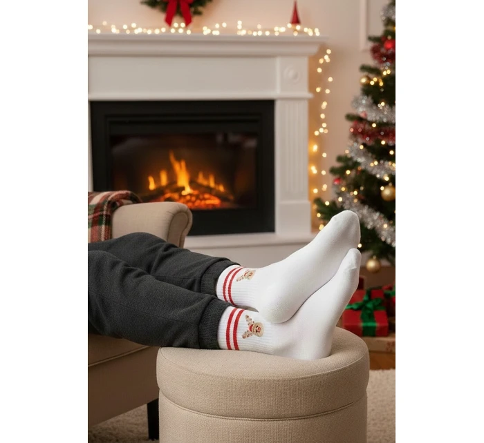 Pánské vánoční ponožky model 21327636 4146 - Steven