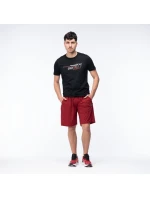 Pánské šortky model 21357277 - IQ