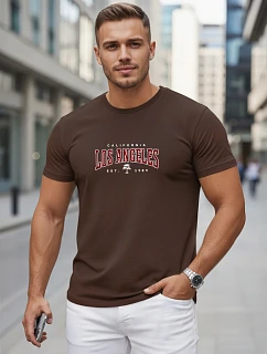 Pánské bavlněné tričko s nápisem, hnědé, FashionStreet NX5136R