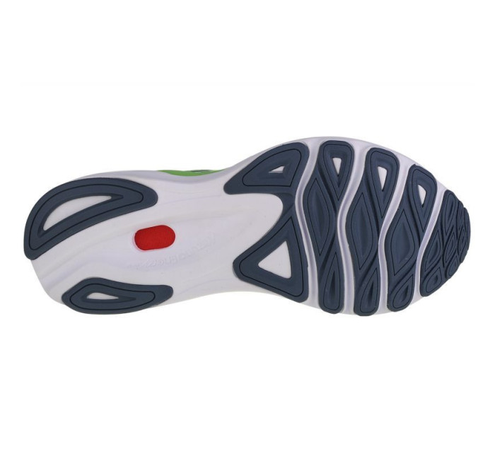 Bežecká obuv Mizuno Wave Skyrise 4 M J1GC230904