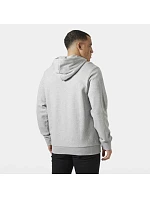pánská mikina s kapucí HH LOGO HOODIE  pánské model 22121757 - Helly Hansen