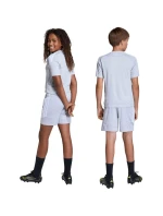 Dětské šortky Tiro 26 League Training šedé model 21870415 - ADIDAS