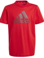 Tričko adidas Big Logo Tee Jr IJ6262
