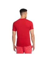 Koszulka Liverpool FC M model 20769883 pánské - NIKE