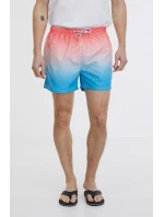 Pánske plavecké šortky SAM73 Dino Pánske plavecké šortky SAM73 Dino
