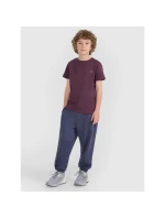 Dětské hladké tričko  model 21756887 - 4F
