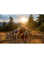 Front Day Pack - blue model 21717244 Front Day Pack - blue model 21717244