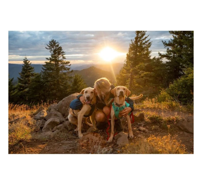 Front Day Pack - blue model 21717244 Front Day Pack - blue model 21717244