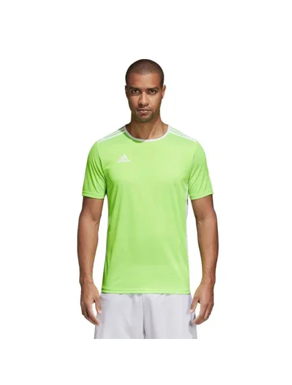 Unisex fotbalové tričko Entrada 18 model 15937603 - ADIDAS