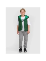Chlapecké bez rukávů se syntetickou výplní model 21757020 - 4F