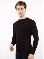 Pánsky sveter TIK-K21-0095 čierny - LIWALI
