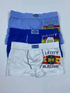 Chlapčenské boxerky Gasolino U/3424