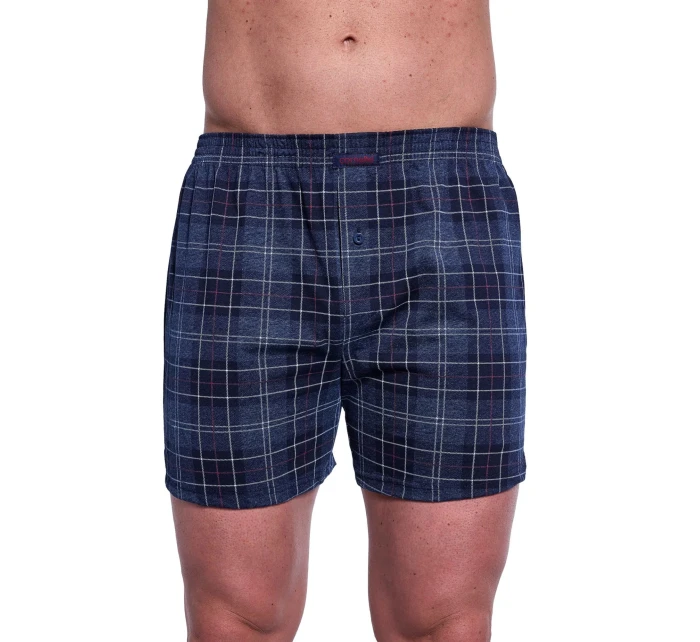 Pánské trenýrky model 21212541 Comfort plus - Cornette