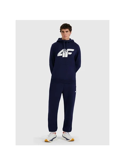 Pánské tepláky typu jogger model 22088399 - 4F Pánské tepláky typu jogger model 22088399 - 4F
