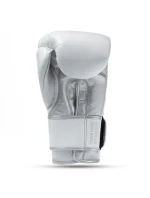 Boxerské rukavice z přírodní kůže s výplní  Legacy Series | DBX model 21754423 - DBX Bushido