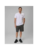 Pánské polo tričko s střihem model 22541586 - 4F Pánské polo tričko s střihem model 22541586 - 4F