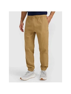 Pánské tepláky typu jogger model 22073485 - 4F