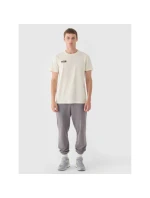 Pánske hladké tričko 4F 4FRAW24TTSHM2602-83S