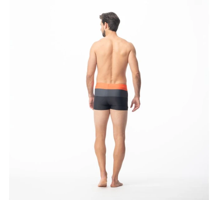 Plavky Aquawave Stripe M 92800593896 Plavky Aquawave Stripe M 92800593896