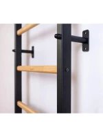 DREVENO-KOVOVÉ GYMNASTICKÉ REBRÍKY S DREVENOU TYČOU LAVIČKA 711W DREVENO-KOVOVÉ GYMNASTICKÉ REBRÍKY S DREVENOU TYČOU LAVIČKA 711W