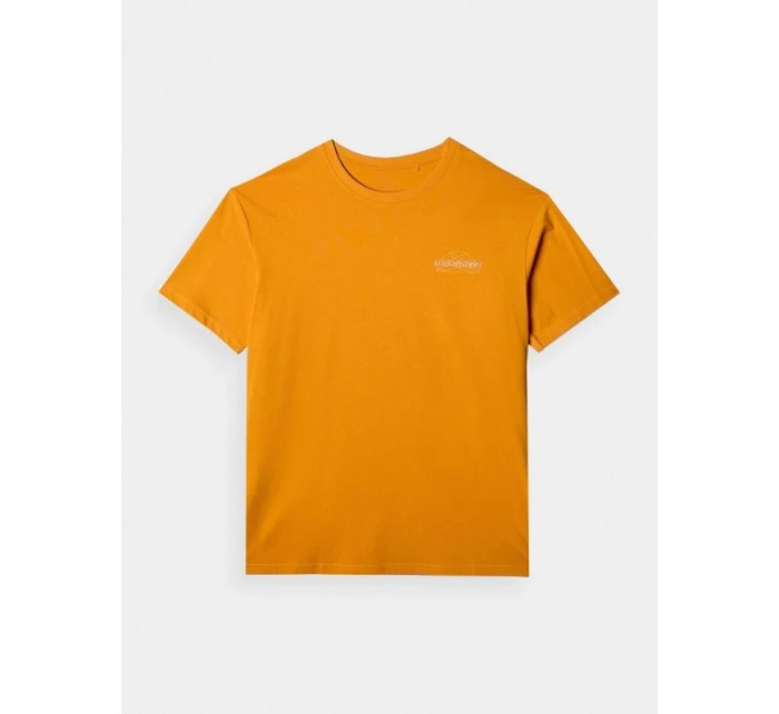 Pánske tričko oversize s potlačou 4F 4FRAW24TTSHM2578-70S