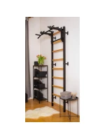 GYMNASTICKÝ REBRÍK S NASTAVITEĽNOU TYČOU A ZÁBRADLÍM BENCHK 732B