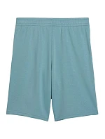 Detské šortky Puma ESS Small No.1 Logo, modré, 692974, veľkosť 47 Detské šortky Puma ESS Small No.1 Logo, modré, 692974, veľkosť 47