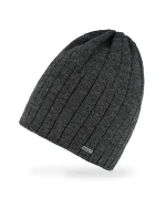 Pánská čepice model 21463312 - AJS