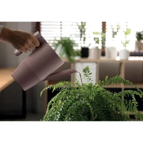 Green Pine IBIS pre deti