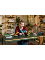 Kolekcia LEGO Ideas 21342 Hmyz