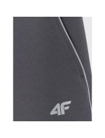 Pánske tepláky typu jogger 4F 4FRAW25TTROM1696-22S