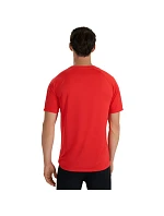 Tričko M  pánské model 21399266 - 4F