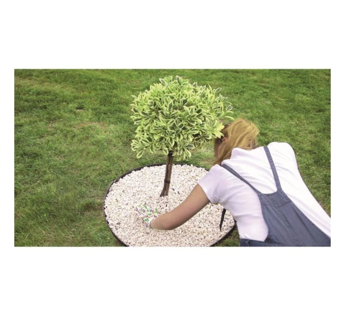 BORDER FLEX ČIERNY HREBEŇ