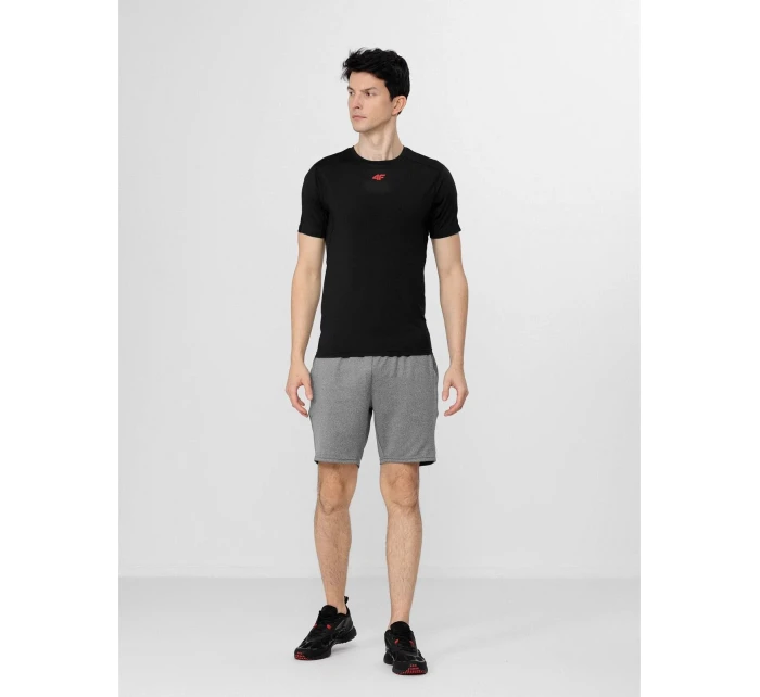 Pánské funkční triko 4F