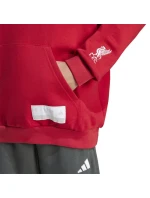 Liverpool FC Hoody Junior mikina model 21420612 - ADIDAS