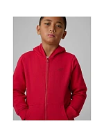 Chlapecká mikina s kapucí model 22135730 dětské - 4F