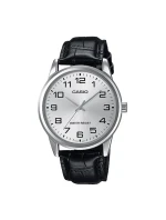 model 21805319 Pánské hodinky + BOX - CASIO model 21805319 Pánské hodinky + BOX - CASIO