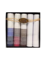 Pánské kapesníky model 20606609 A'5 - EGA