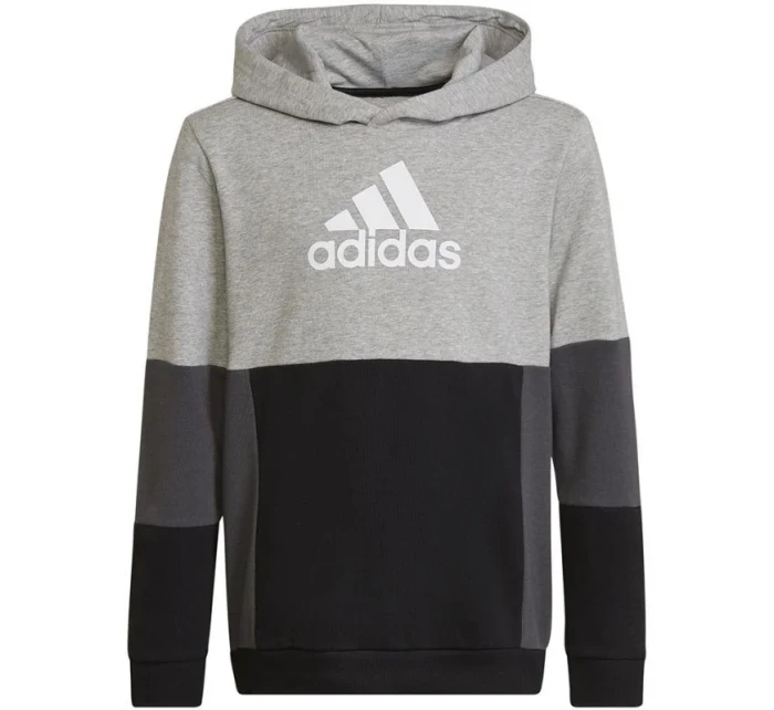 Adidas Colourblock Hoodie Jr HN8563