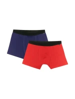 Pánské boxerky 2pack 2 WMM00UBXS model 21396540 - 4F Pánské boxerky 2pack 2 WMM00UBXS model 21396540 - 4F