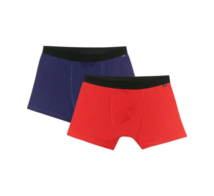 Pánské boxerky 2pack 2 WMM00UBXS model 21396540 - 4F Pánské boxerky 2pack 2 WMM00UBXS model 21396540 - 4F
