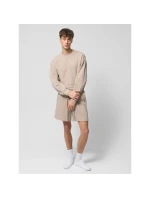 Pánska mikina s kapucňou Outhorn OTHWSS24TSWSM1172-83S