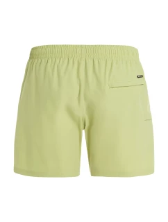 Pánske plážové šortky Protest PRTYESSINE