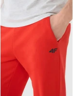Pánské tepláky 4F Pánské tepláky 4F
