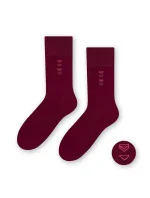 Pánské ponožky model 5790387 - Steven