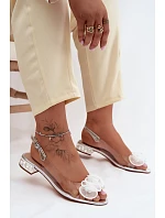 Dámské sandály Průhledné s krystaly model 22140818 Stříbrné - D&A