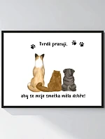 Personalizovaný magický fotobilder v ráme – 30x40 – ilustrácie domácich miláčikov