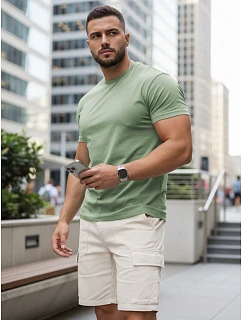 Pánske klasické svetlozelené tričko FashionStreet RX5681