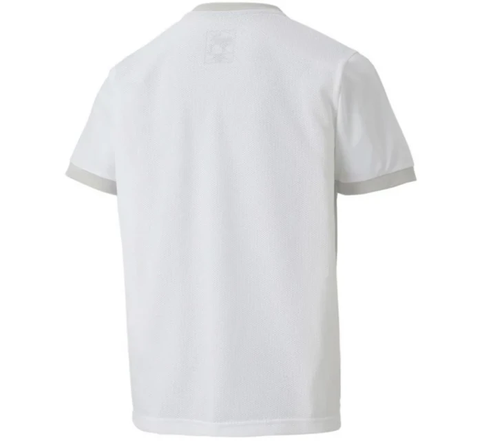 Puma teamGOAL 23 Jersey Jr 704160 04 tričko