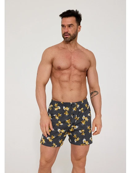 Pánské trenýrky model 22110503 - Cornette